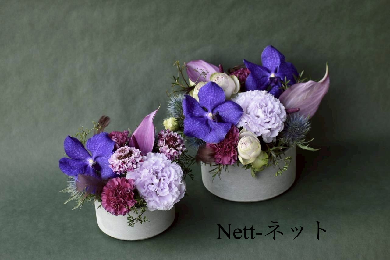 Nettネット