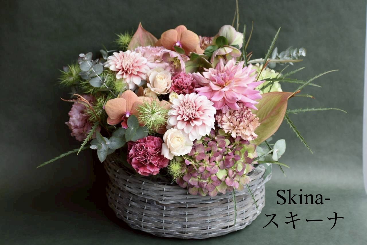Skinaスキーナ